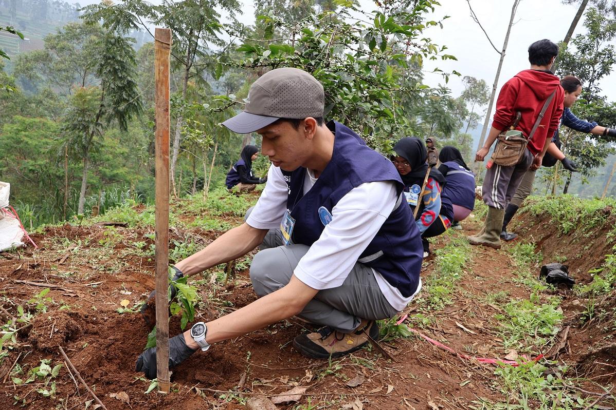 21,000 Trees Planted in Kertasari