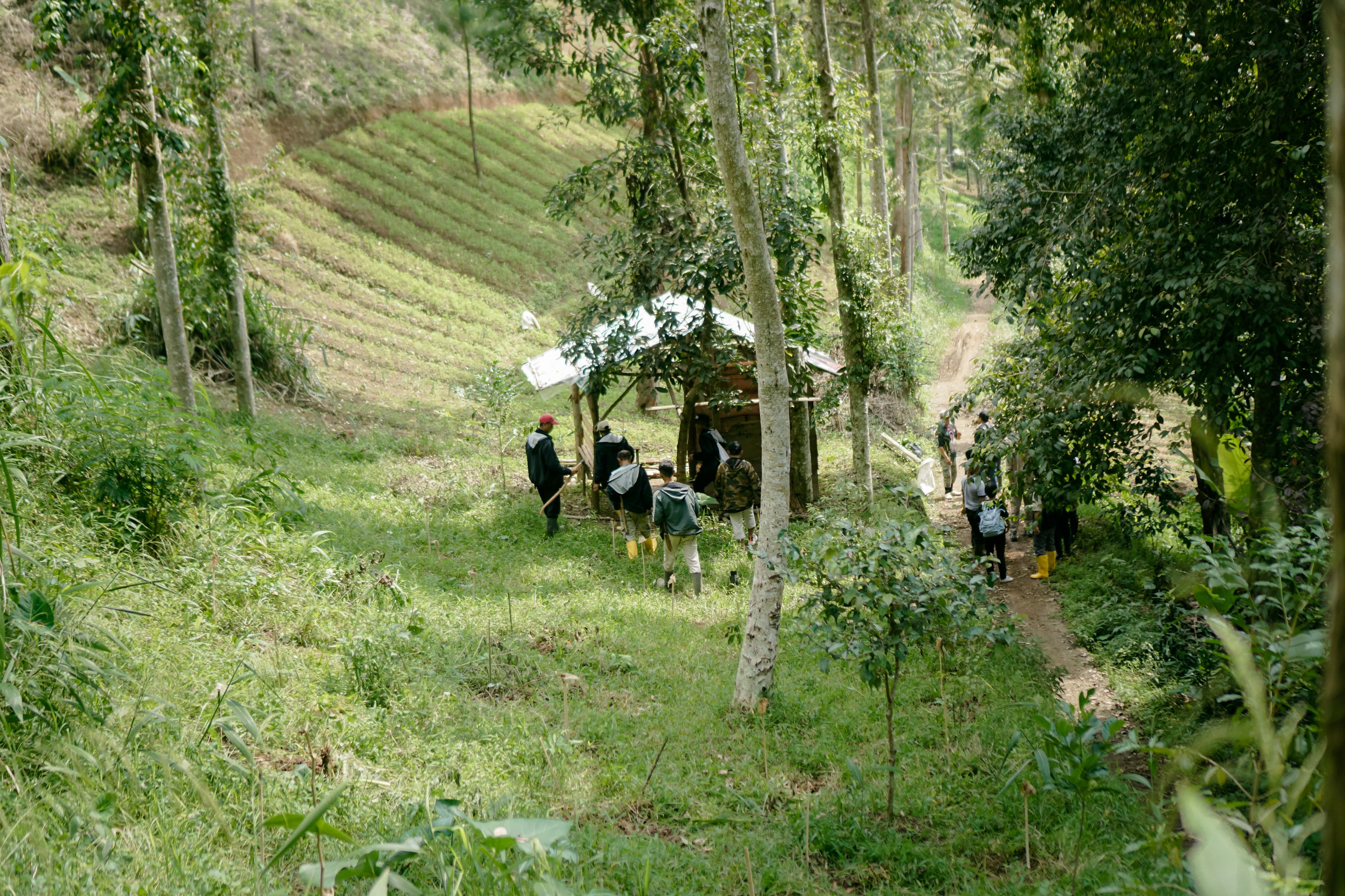 Deforestation Impact : Loss of Biodiversity